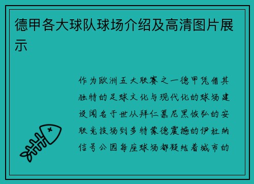 德甲各大球队球场介绍及高清图片展示